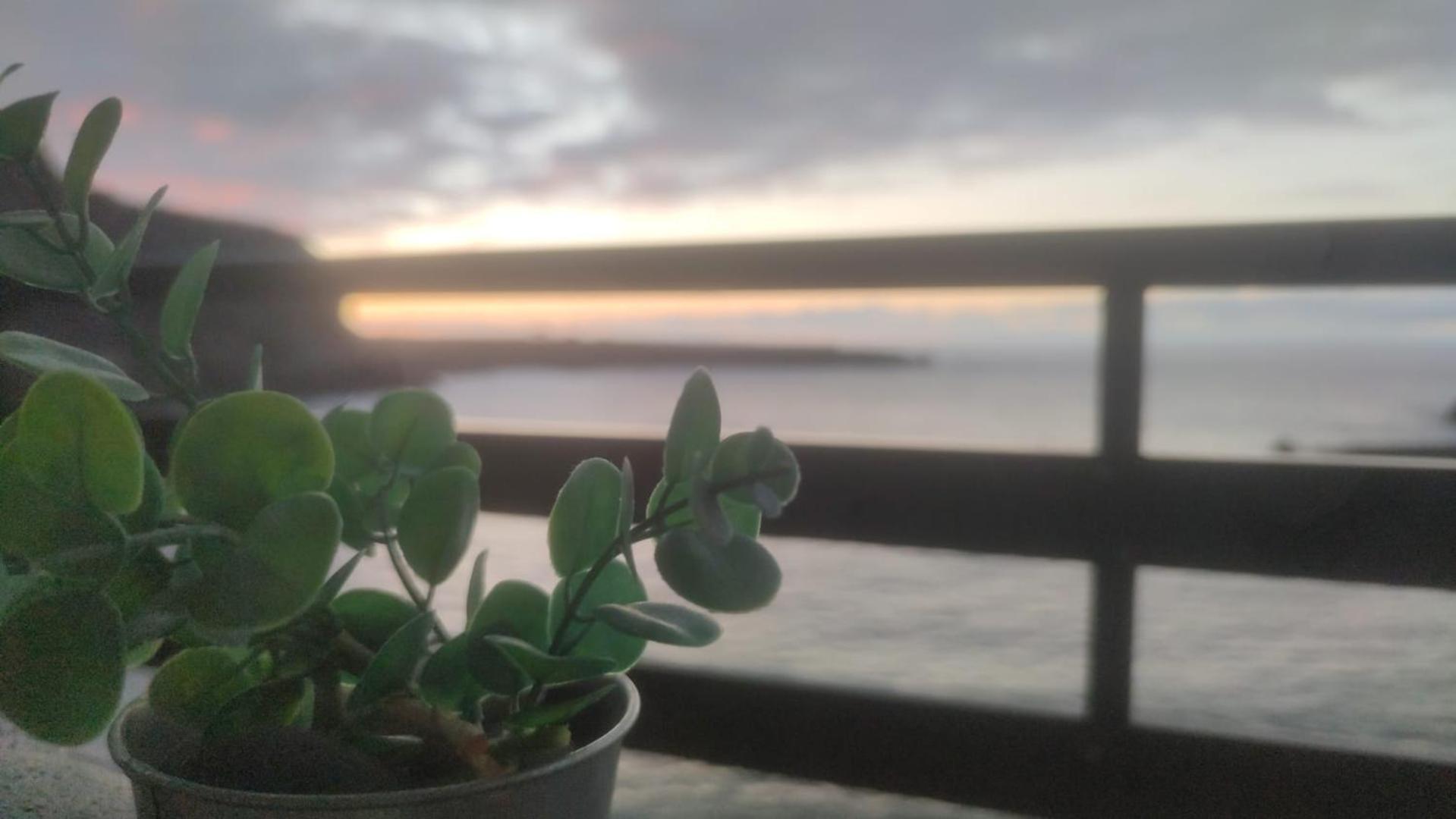 Estudio Al Mar San Marcos  Dış mekan fotoğraf